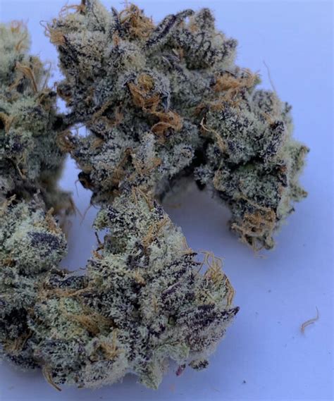 Despite having “Cookies” in its name, Garlic Cookies, or GMO, is one of the only <b>strains</b> on this list without a sweet aroma. . Blue face strain leafly